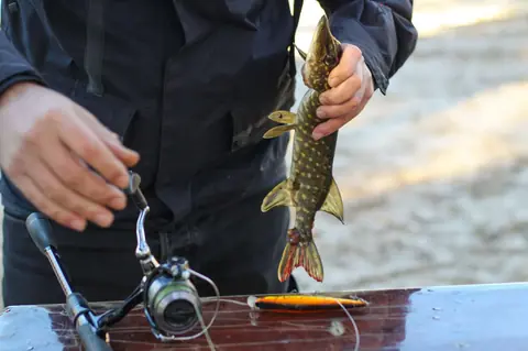 Top 7 leurres brochet 2026 : nouveautés et classiques pour la fin d’été