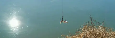 Choisir la taille des hameçons en eau douce selon l'espèce ciblée