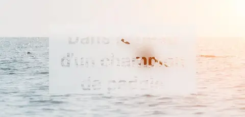 Dans la peau d'un champion de paddle