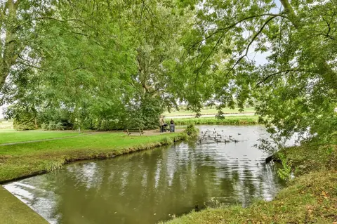 Débuter la pêche en étang : conseils pratiques, matériel et stratégies pour réussir