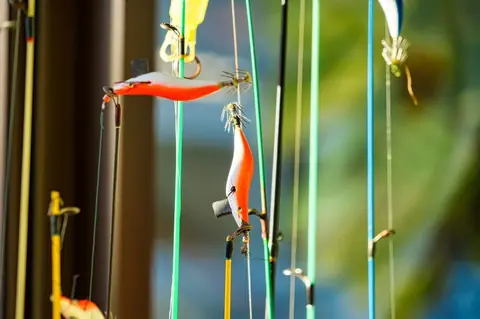 Les meilleurs appâts naturels adaptés à la pêche en mer