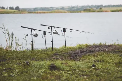 Maîtriser la pêche à la carpe en eau douce : conseils, appâts et législation