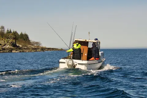 Montage fireball pour pêche profonde (50–80 m) : composition complète et rendement