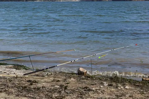 Fiiish 2026 : Pit Swimmer, Monster et tresse Contact passés au crible