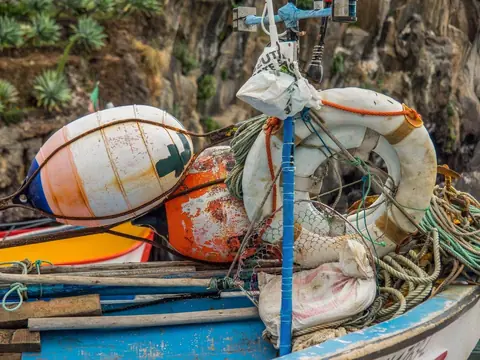 Optimiser la conservation des vifs en barque sans oxygène artificiel : méthode, matériel et coûts selon la taille du vivier