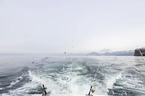 Pêche de loisir en mer 2026 : enregistrement et déclaration, mode d’emploi