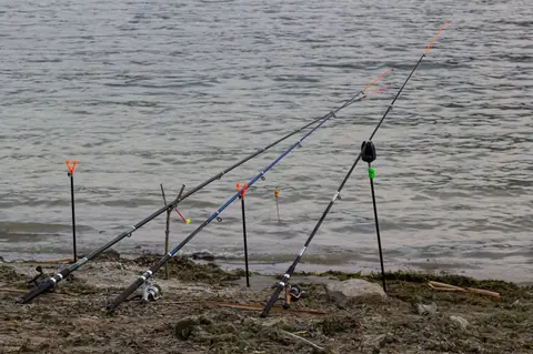 Pêcher la perche en été 2026 : 4 leurres de réaction et techniques qui marchent
