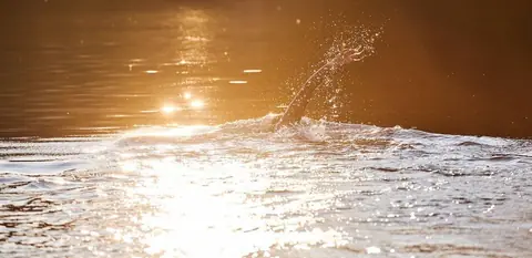 Pratiquer la nage en eau libre : techniques essentielles et sécurité pour débutants