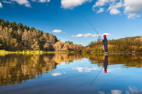 Quels poissons cibler en eau douce à la fin de l'automne (octobre-novembre) ?