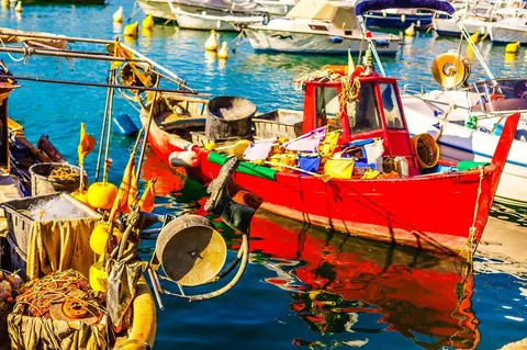 Quels poissons pêcher en Méditerranée : espèces courantes et stratégies efficaces