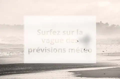 Surfez sur la vague des prévisions météo