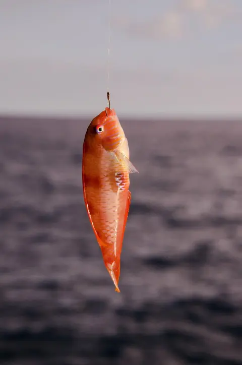 Techniques avancées pour optimiser la pêche à la verticale aux leurres métalliques