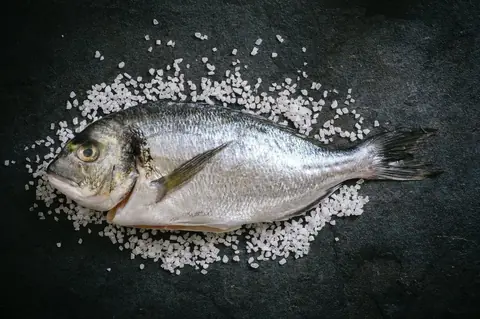 Techniques efficaces pour pêcher la dorade grise en mer