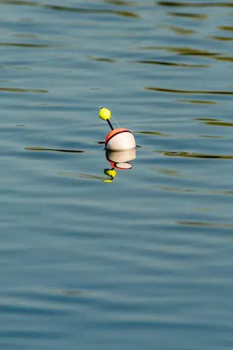 Techniques essentielles de pêche à la ligne flottante en rivière