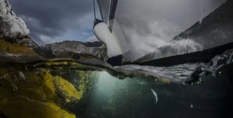 Tout sur les ailes Polyform Fenders F Series