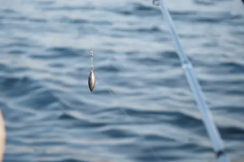 Utilisation écologique des ancres en pêche en mer : techniques et impacts