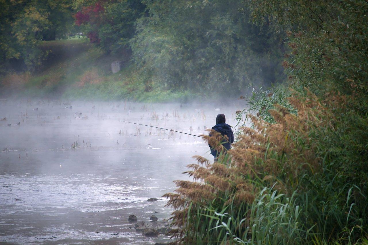Angler en zone d’ombre sur un lac sous la pluie d'été, matériel adapté pour optimiser la prise.