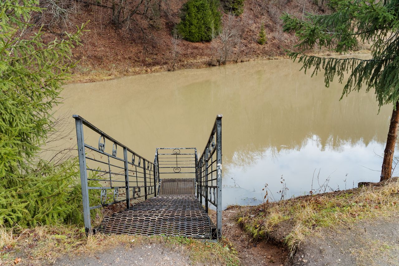Bar chassant dans une bordure d’estuaire, eau claire, goémon et lumière naturelle.