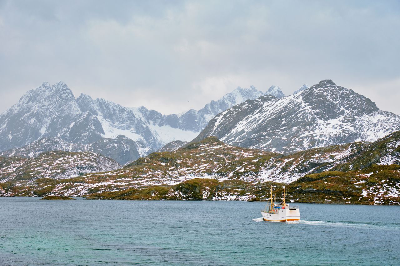 Pêche en mer été 2026 : les meilleures destinations en Europe et au grand large