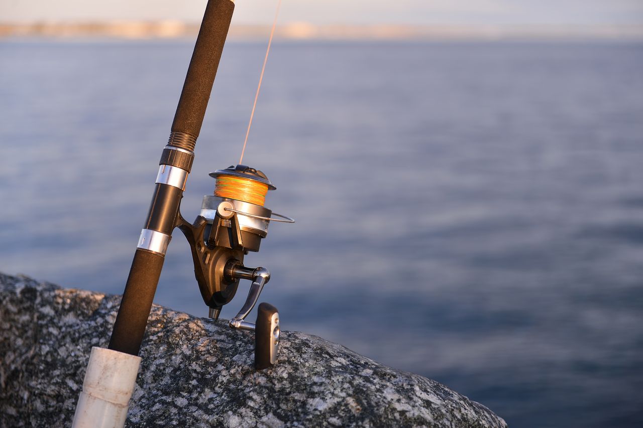 Top 5 des cannes de voyage multi-brins pour la pêche en mer en 2026