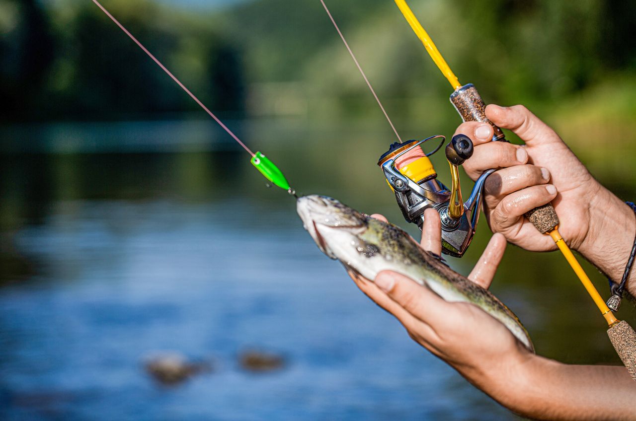 Moulinets de pêche électriques 2026 : les modèles et innovations à suivre