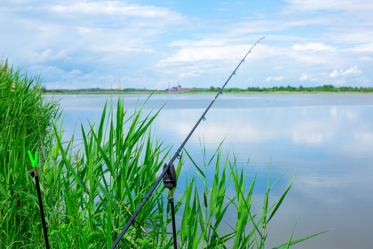 Moulinet Shimano Stradic FM 2500 HG sur canne à pêche au bord du lac, en pleine nature.