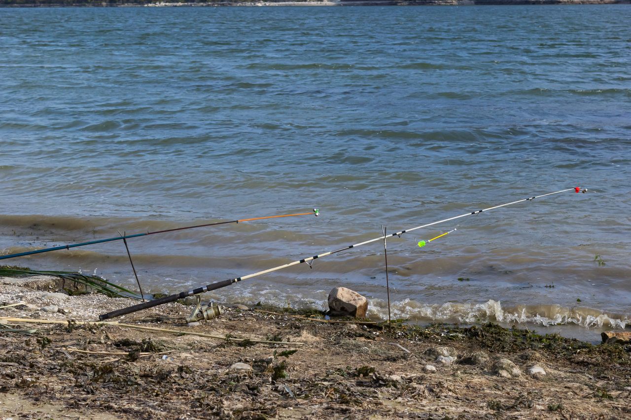 Fiiish 2026 : Pit Swimmer, Monster et tresse Contact passés au crible