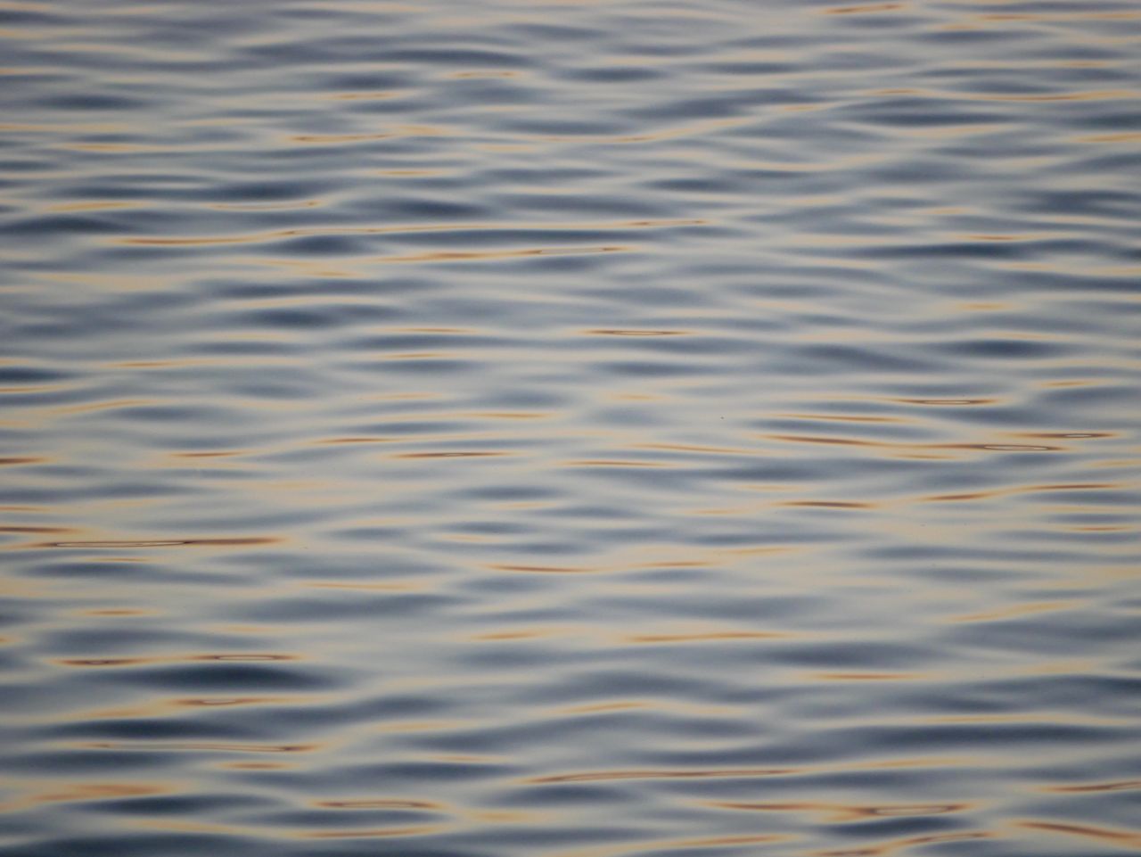 Ondulations apaisantes d'eau illuminées par la lumière dorée du coucher de soleil, idéales pour le bien-être et les thèmes naturels.