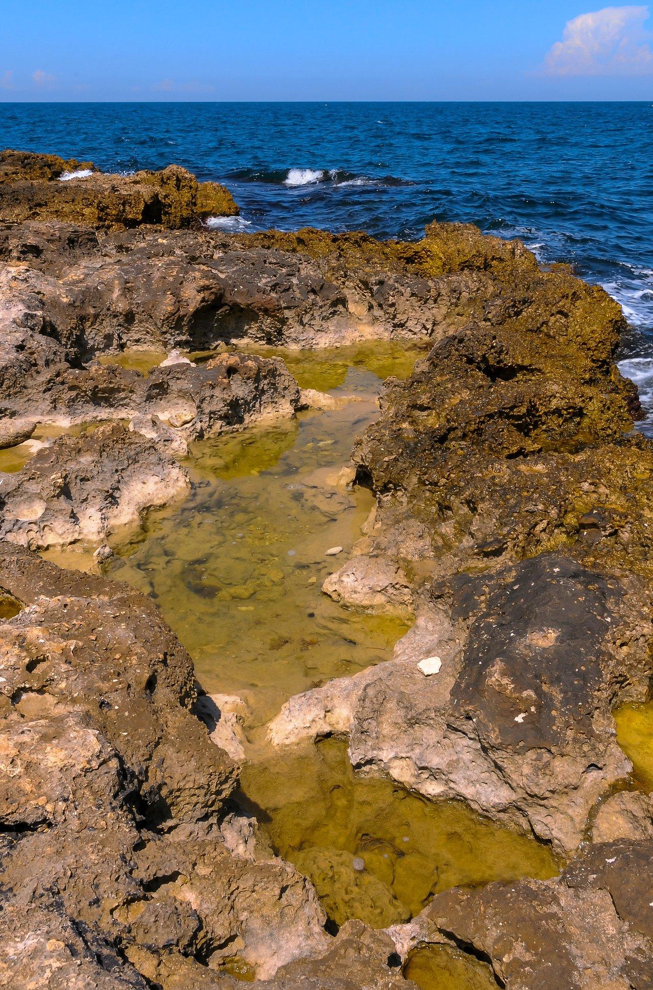 Pêche à pied en estran rocheux lors des grandes marées printanières à Saint-Malo, idéale pour la pêche à pieds.