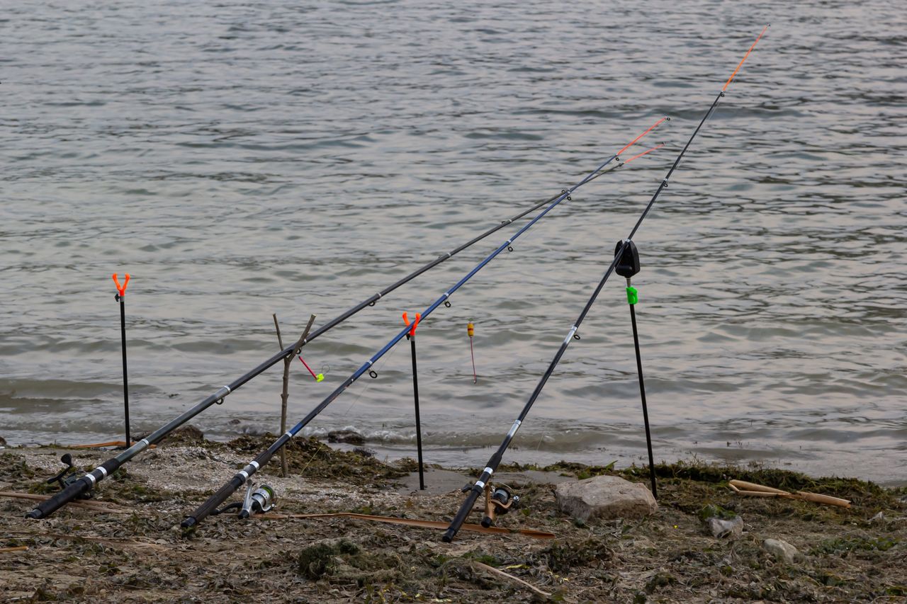 Perche d’été en bordure, leurres de réaction posés sur un tapis de pêche au bord de l’eau
