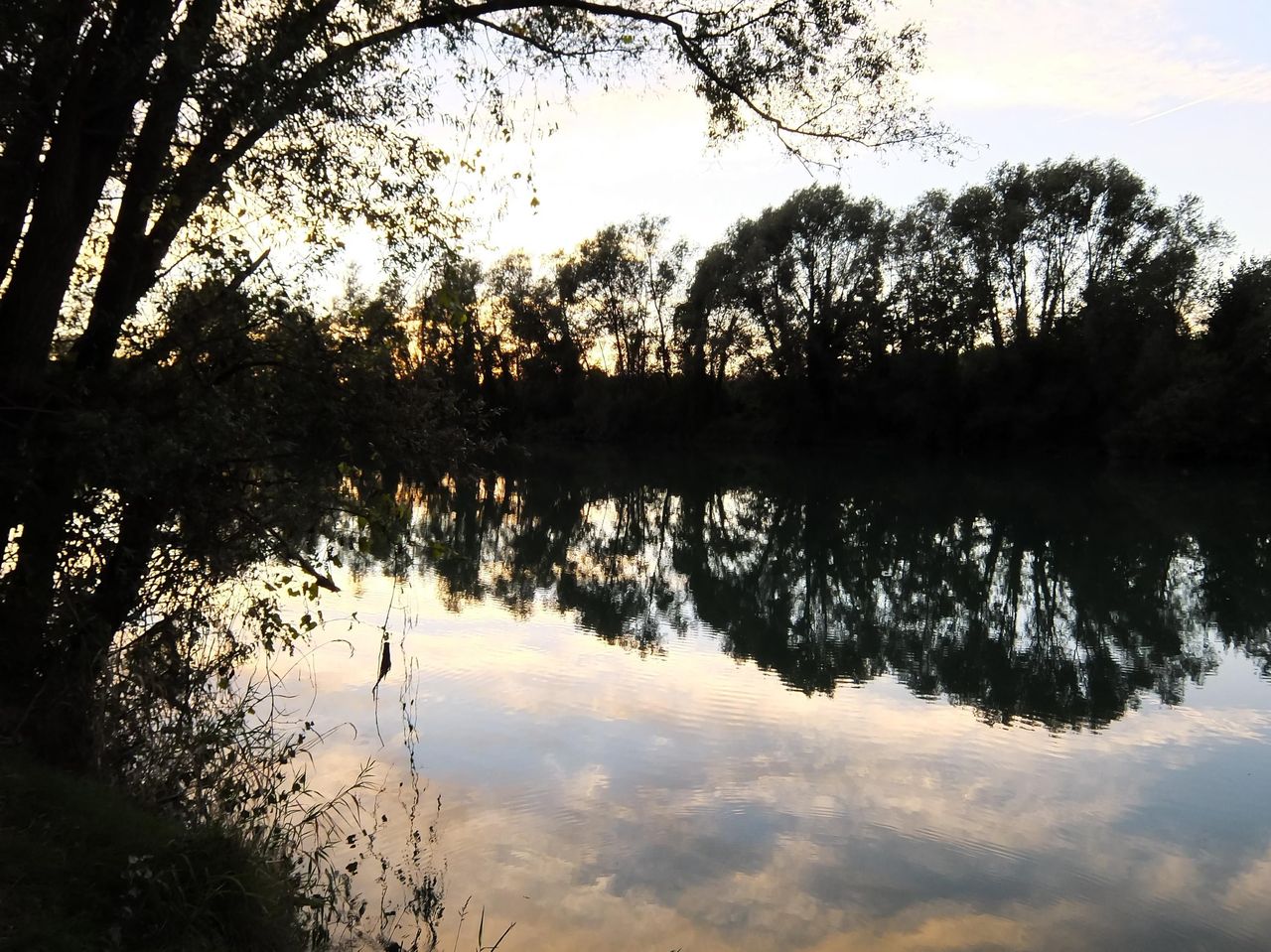 Silure à la bouée sur rivière calme, près des roselières, avec une embarcation légère.