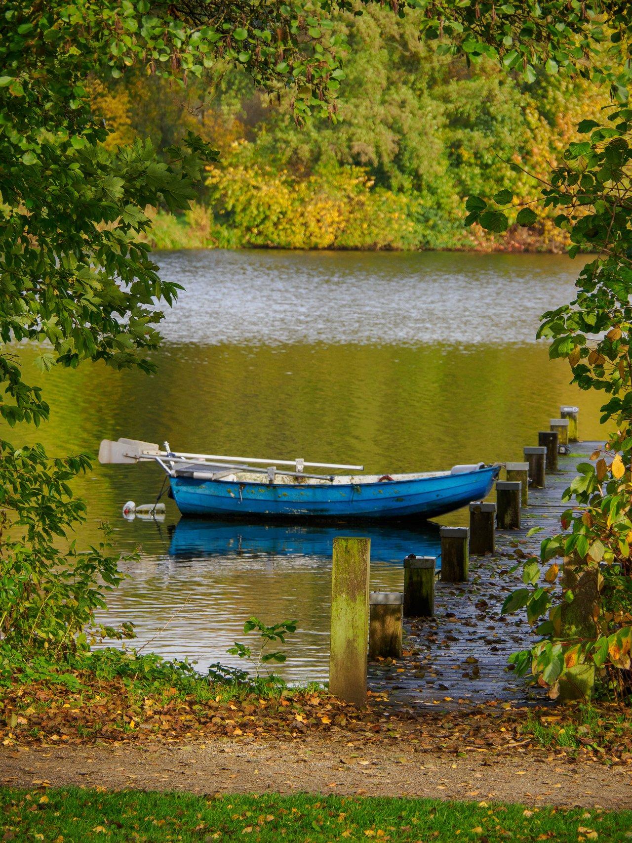 Un bateau électrique silencieux navigue paisiblement sur un lac intérieur entouré de végétation protégée.