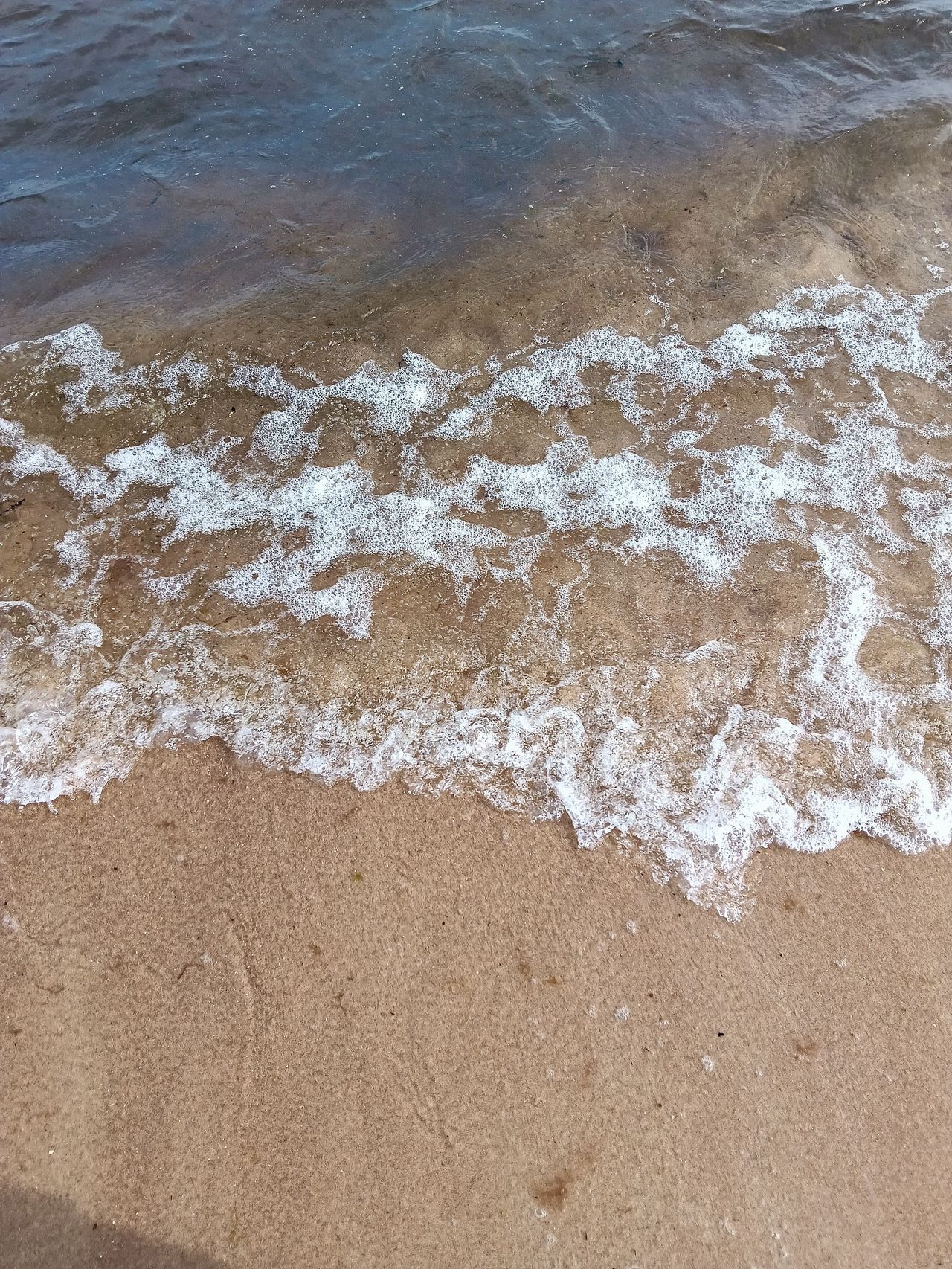 Vagues douces caressant la plage de sable fin sous un ciel serein, offrant une vue relaxante sur l'océan.
